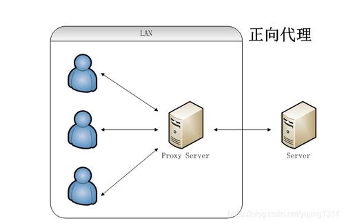 從Nginx代理技術(shù)看文化場館管理服務的現(xiàn)代化架構(gòu)